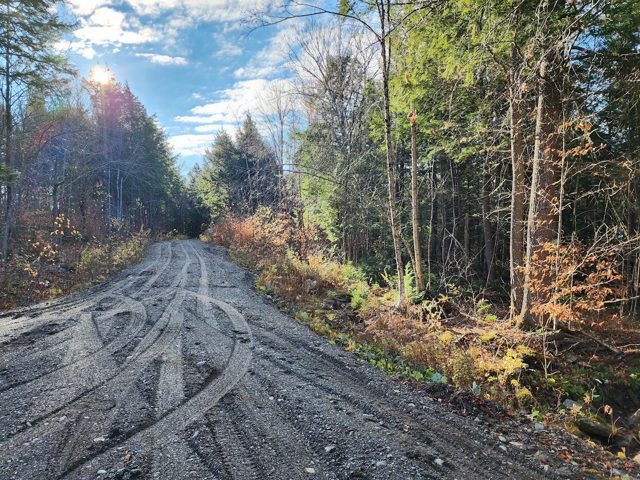 Lot 2 Townline Rock Road Island Falls ME 04747