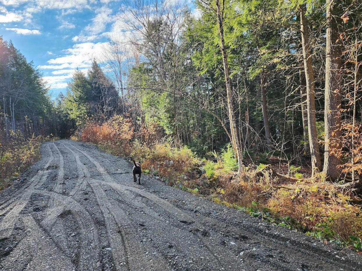 Lot 2 Townline Rock Road Island Falls ME 04747