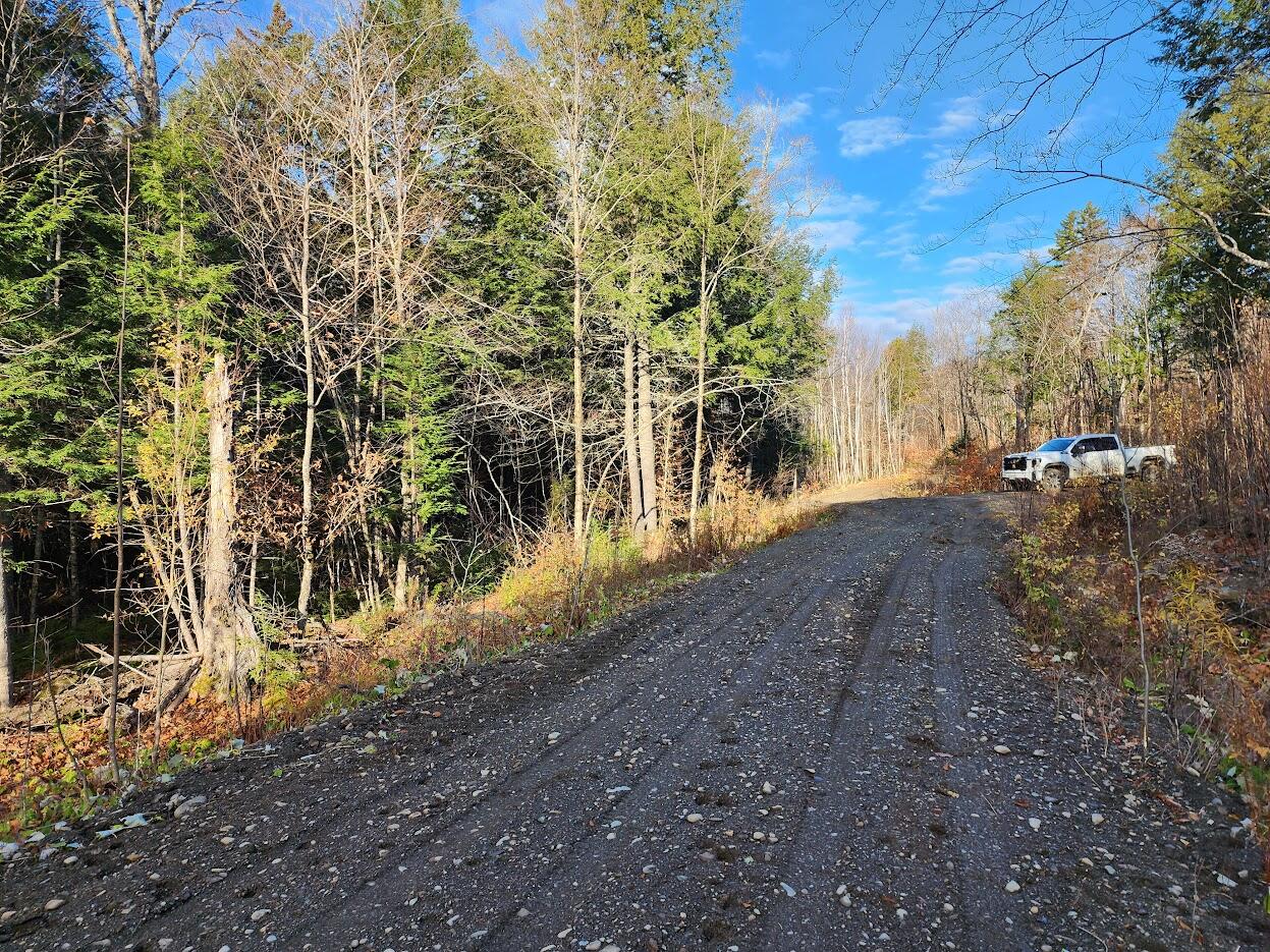 Lot 2 Townline Rock Road Island Falls ME 04747