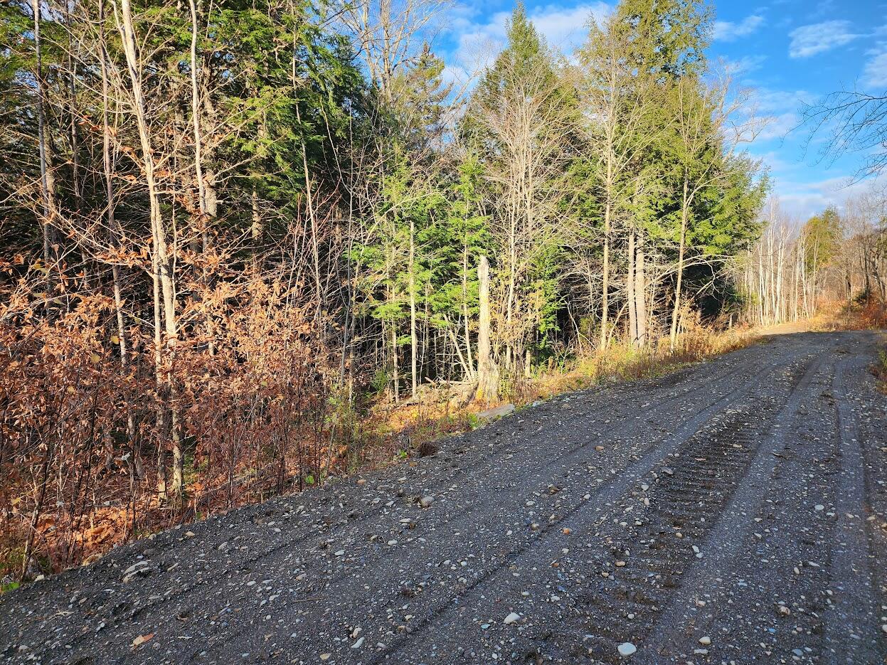 Lot 2 Townline Rock Road Island Falls ME 04747
