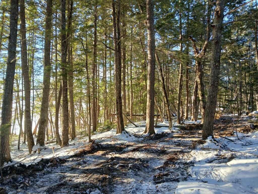 Lot 2 Townline Rock Road Island Falls ME 04747
