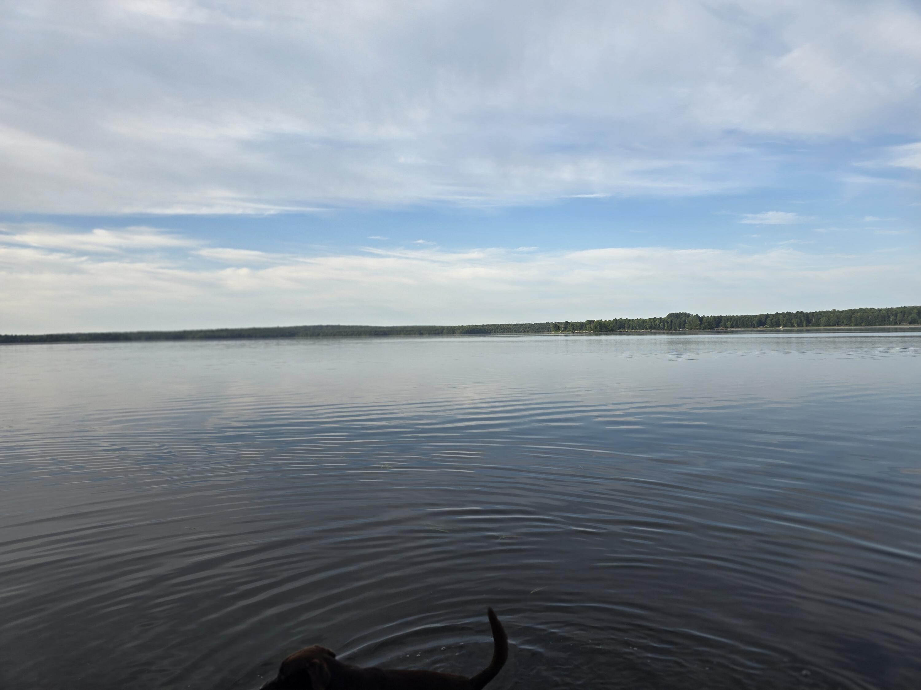 Lot 2 Townline Rock Road Island Falls ME 04747