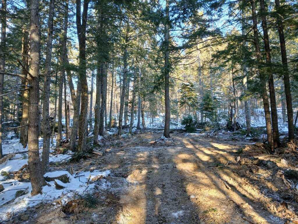 Lot 2 Townline Rock Road Island Falls ME 04747