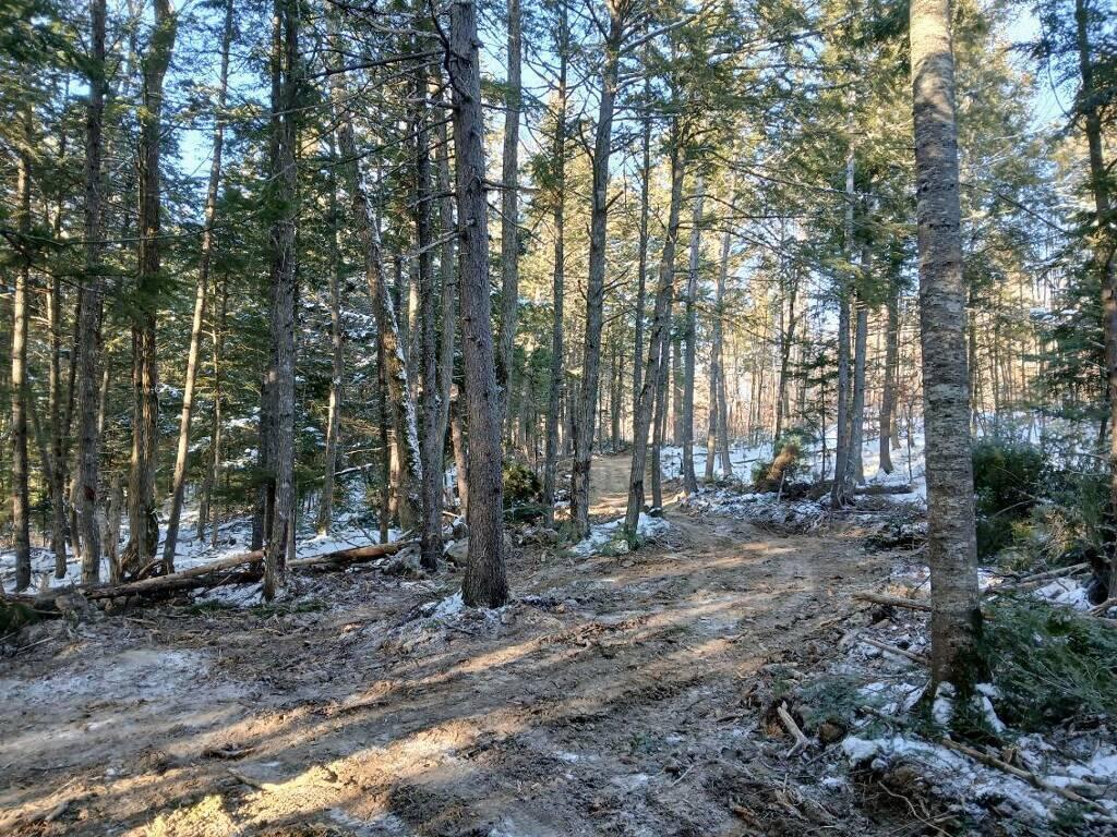 Lot 2 Townline Rock Road Island Falls ME 04747
