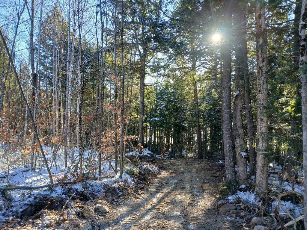 Lot 2 Townline Rock Road Island Falls ME 04747
