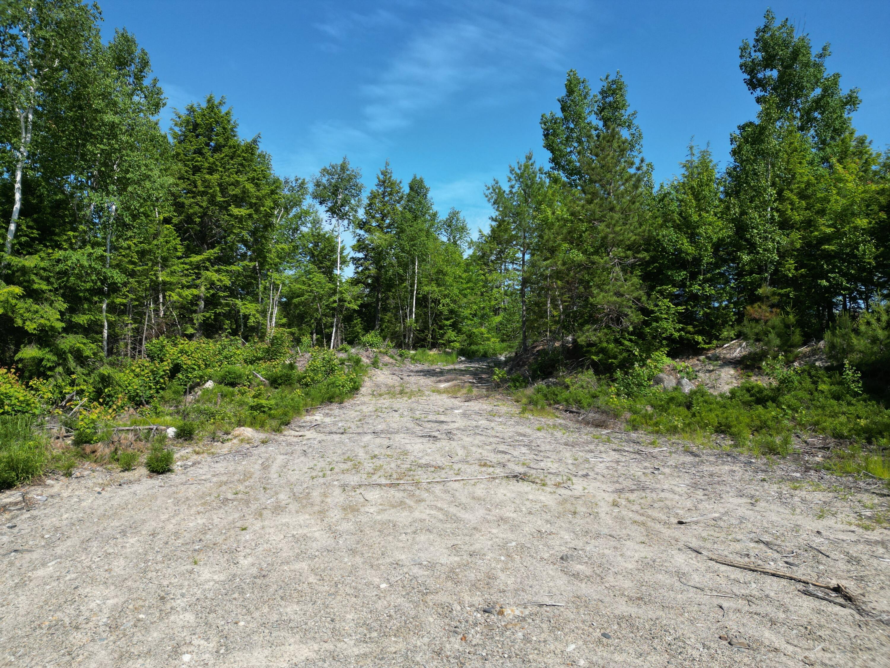 Lot 39 Southwest Brook Lane Beddington ME 04622