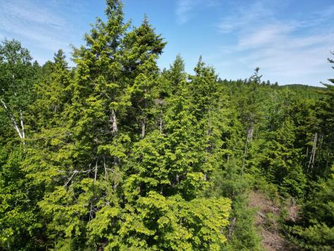 Lot 39 Southwest Brook Lane Beddington ME 04622