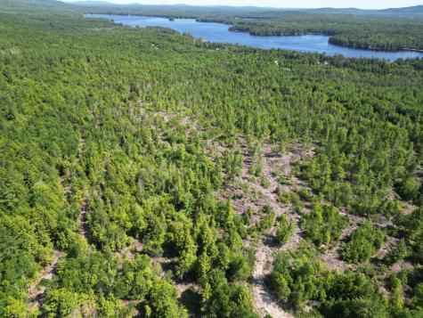 Lot 39 Southwest Brook Lane Beddington ME 04622