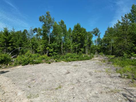 Lot 39 Southwest Brook Lane Beddington ME 04622