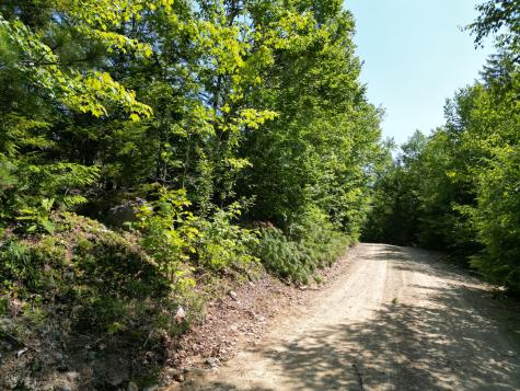 Lot 39 Southwest Brook Lane Beddington ME 04622