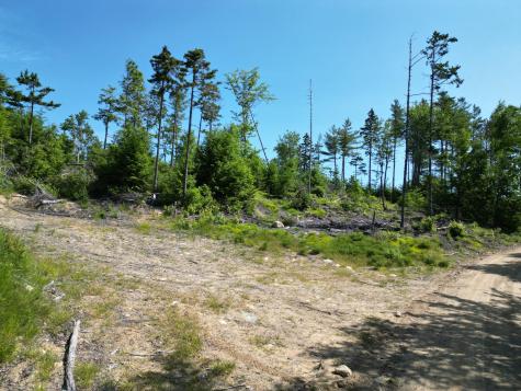 Lot 39 Southwest Brook Lane Beddington ME 04622