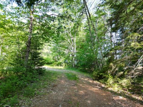 Lot 39 Southwest Brook Lane Beddington ME 04622