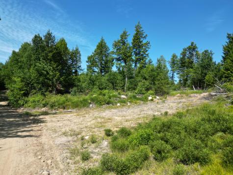 Lot 39 Southwest Brook Lane Beddington ME 04622