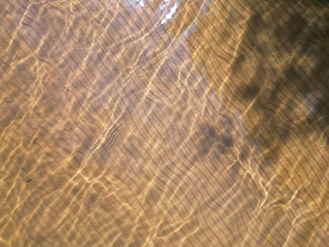 Lot 39 Southwest Brook Lane Beddington ME 04622