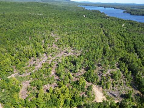 Lot 39 Southwest Brook Lane Beddington ME 04622