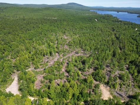 Lot 39 Southwest Brook Lane Beddington ME 04622