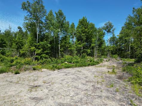 Lot 39 Southwest Brook Lane Beddington ME 04622