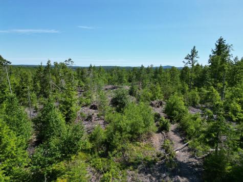 Lot 39 Southwest Brook Lane Beddington ME 04622