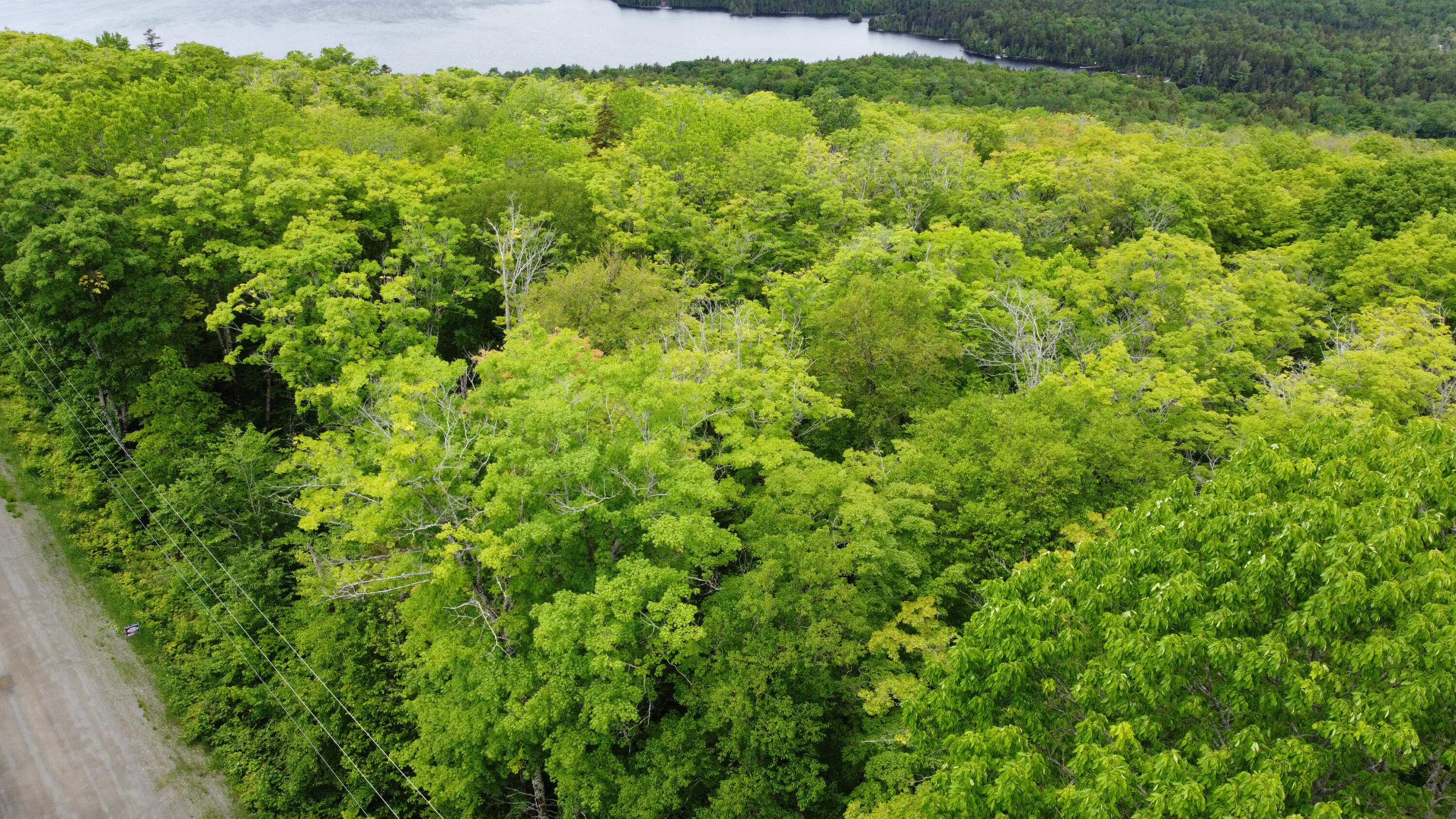 Lot 3 Hilltop Drive Greenville ME 04441