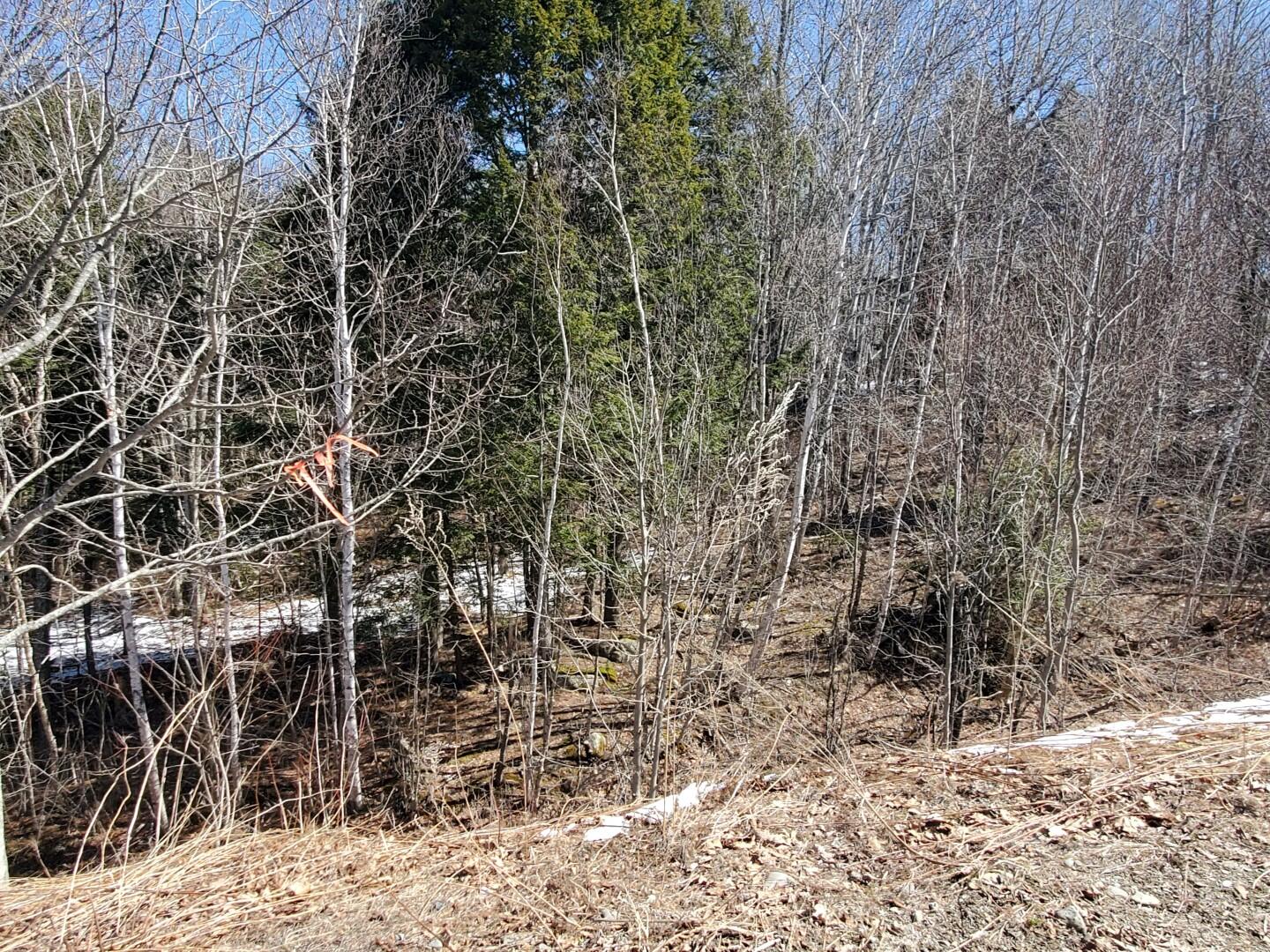 Lot# 51 Indian Hill Lane Frankfort ME 04438