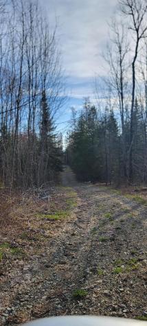 69 Hodgins Lane Calais ME 04619