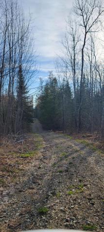 69 Hodgins Lane Calais ME 04619