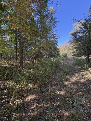 U03-68-c Tbd Strong ME 04983