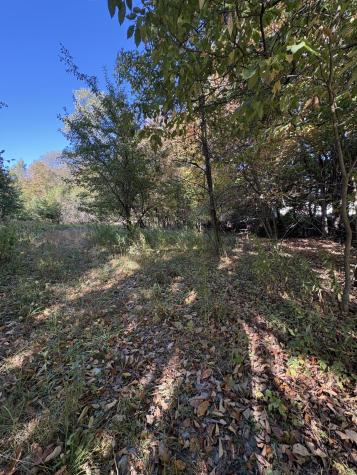 U03-68-c Tbd Strong ME 04983