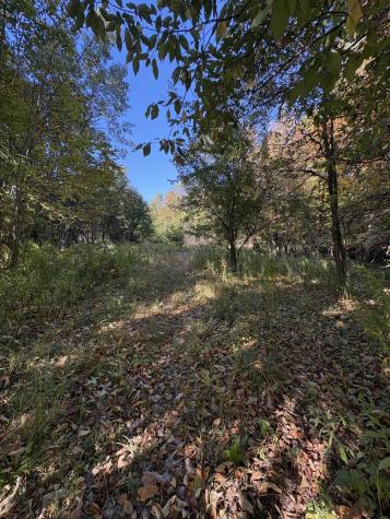 U03-68-c Tbd Strong ME 04983