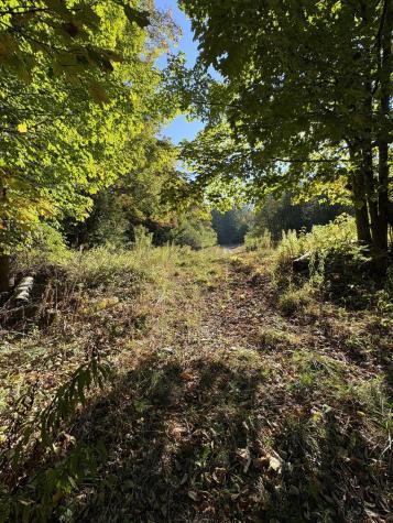 U03-68-c Tbd Strong ME 04983