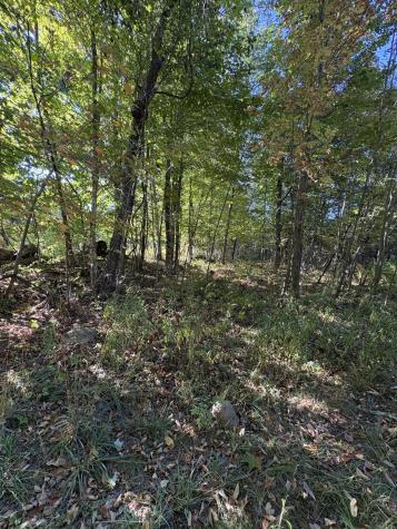 U03-68-c Tbd Strong ME 04983