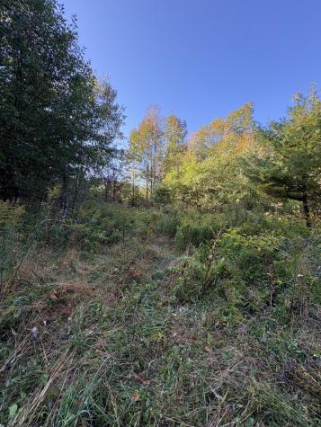 U03-68-c Tbd Strong ME 04983