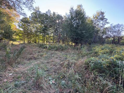 U03-68-c Tbd Strong ME 04983