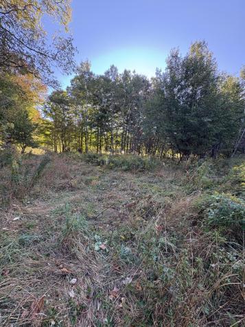 U03-68-c Tbd Strong ME 04983