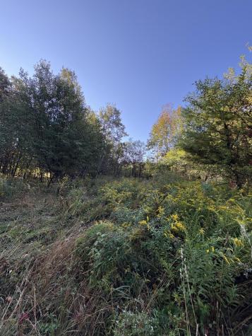 U03-68-c Tbd Strong ME 04983