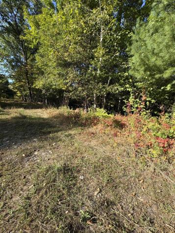 U03-68-c Tbd Strong ME 04983