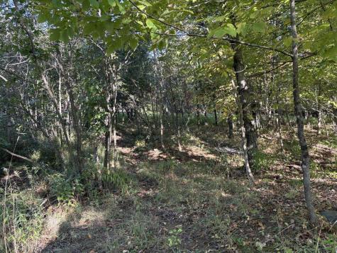 U03-68-c Tbd Strong ME 04983