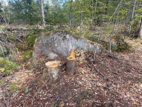 M10/18-7 Brown Road Mercer ME 04957