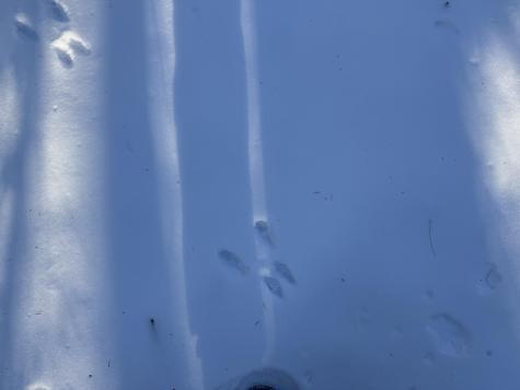 363 Porterfield Road Porter ME 04068