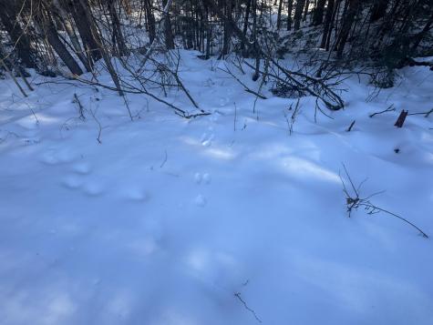 363 Porterfield Road Porter ME 04068