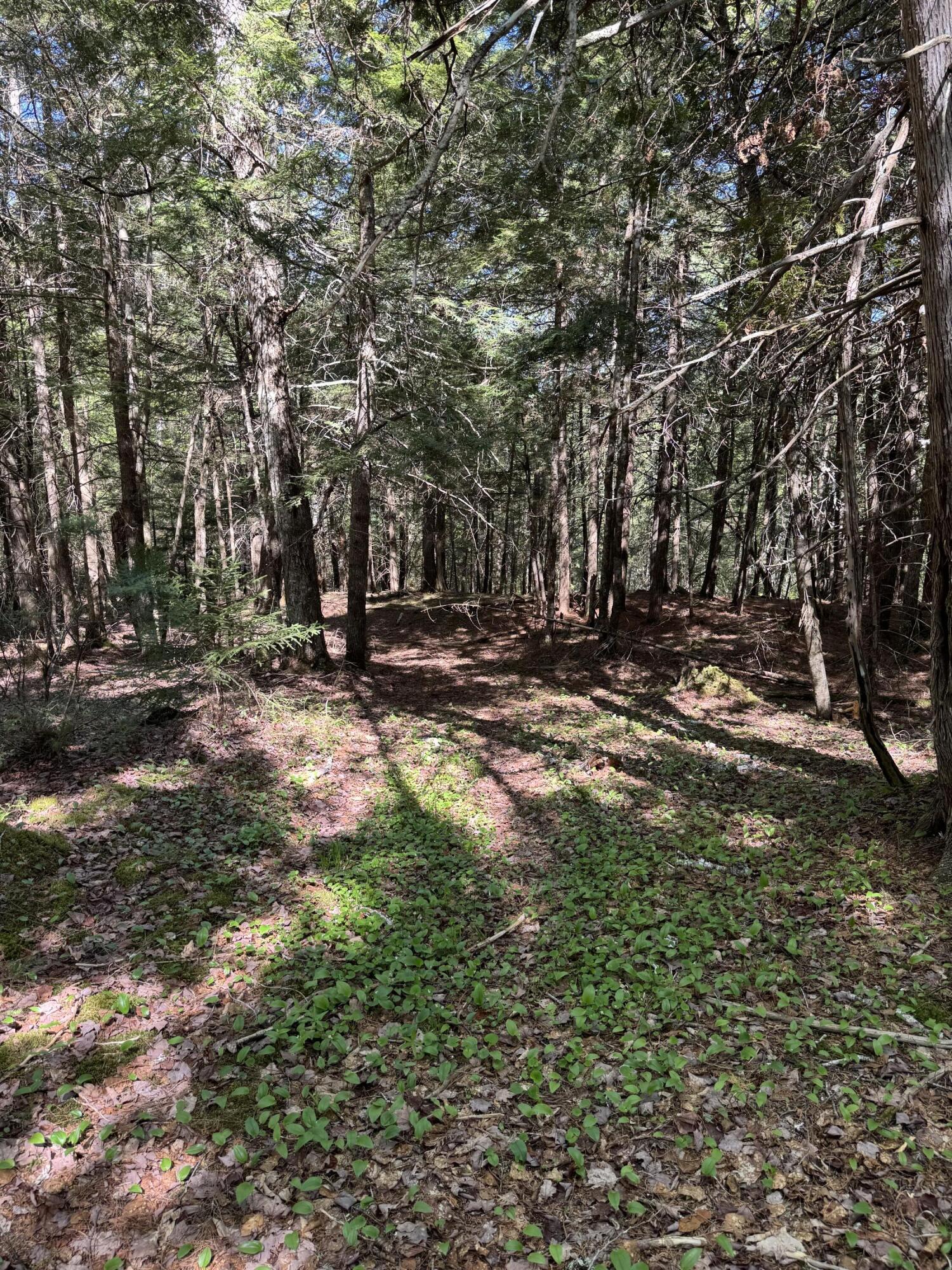 Lot 13 Route 9 Aurora ME 04428