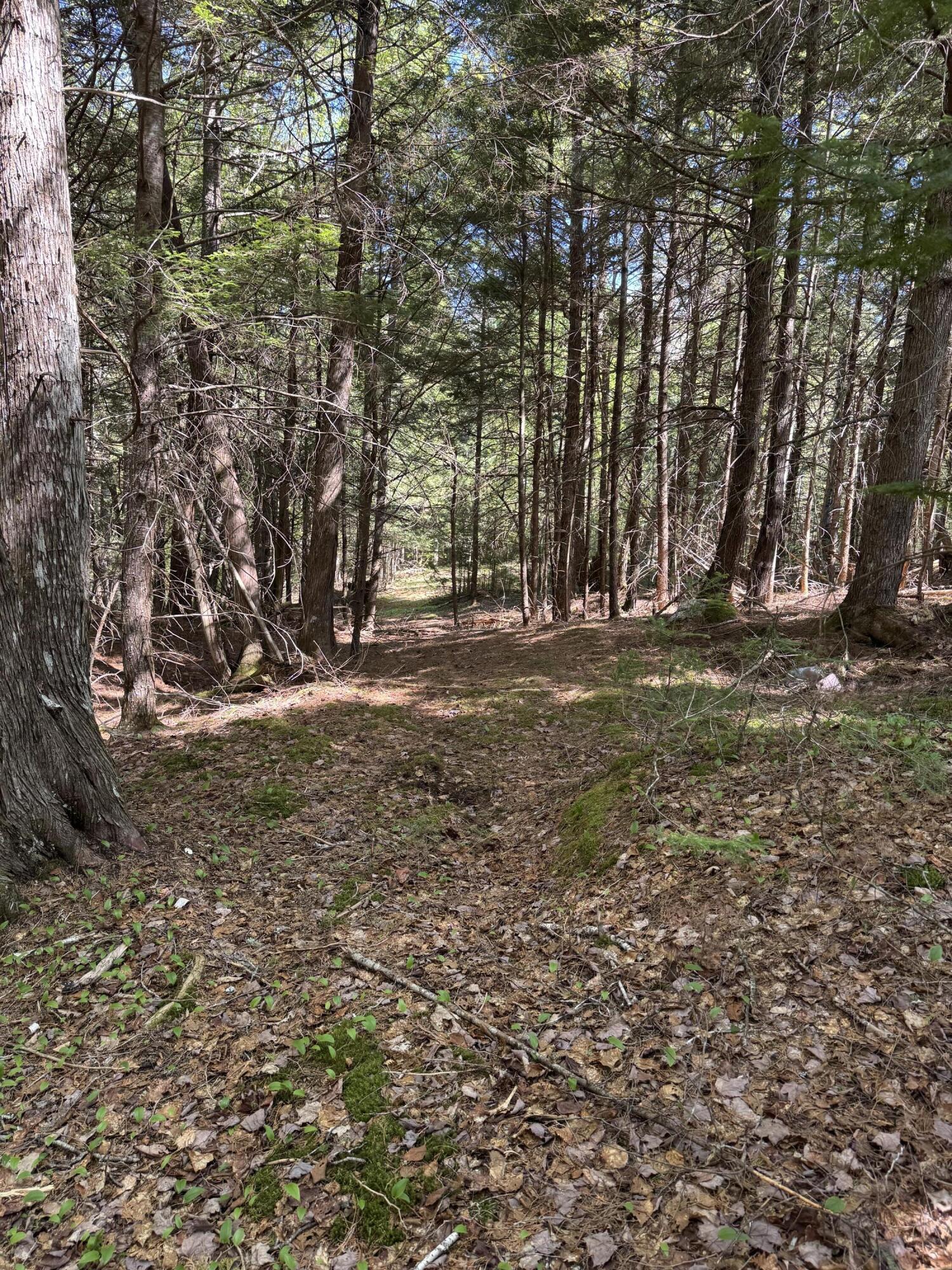 Lot 13 Route 9 Aurora ME 04428