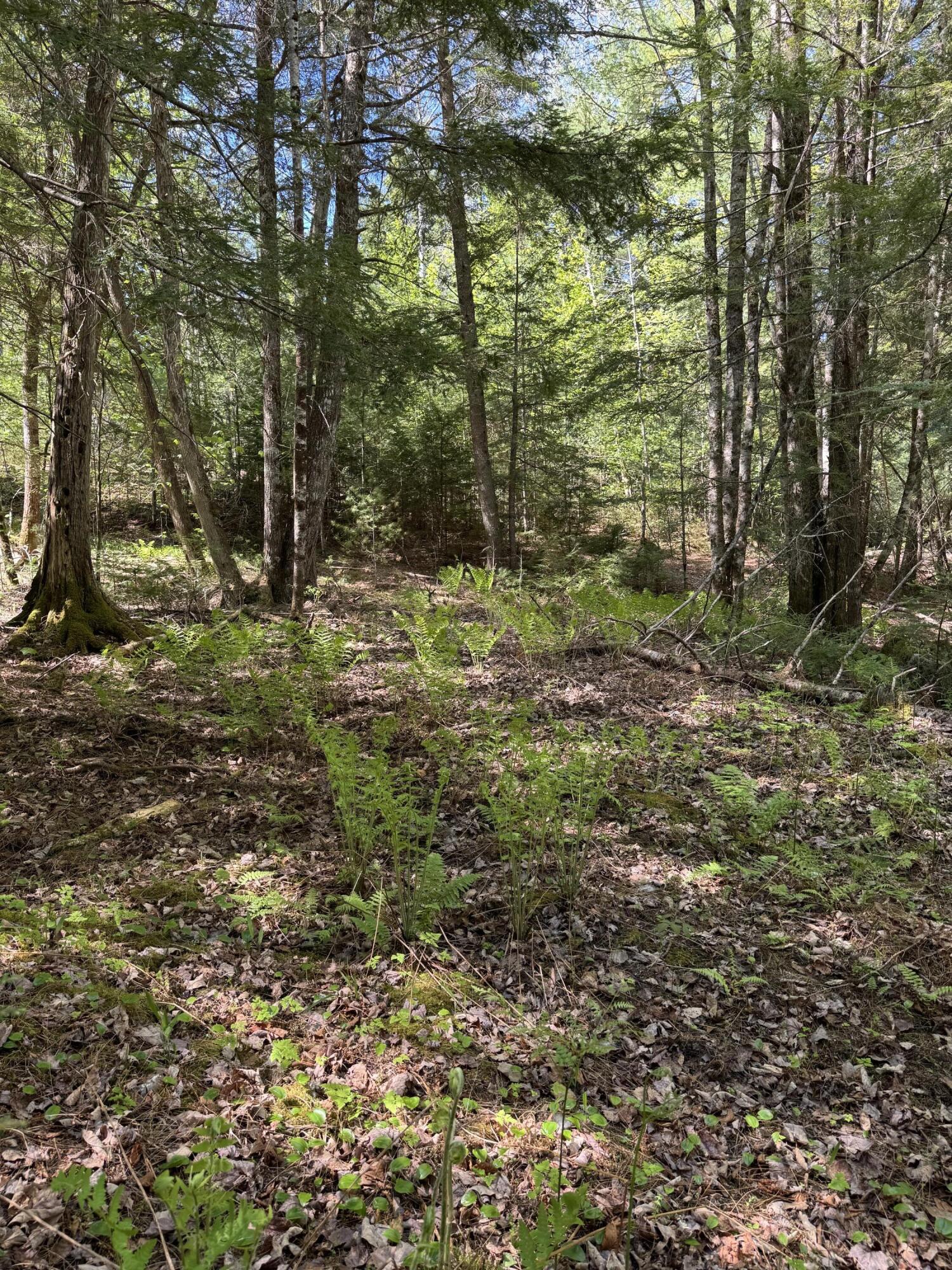 Lot 13 Route 9 Aurora ME 04428