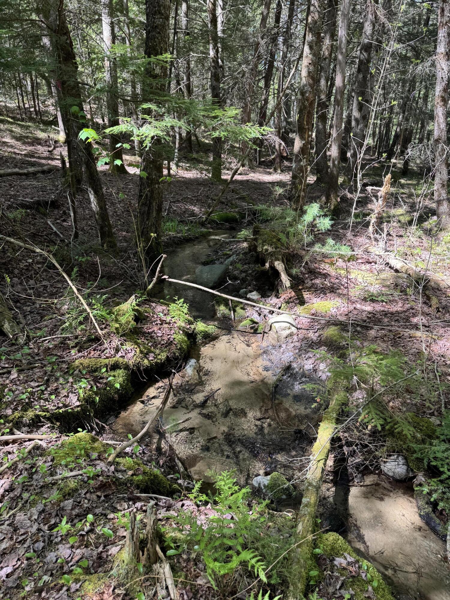 Lot 13 Route 9 Aurora ME 04428