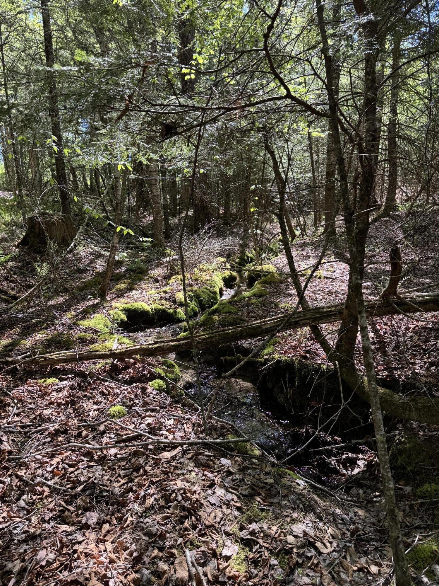 Lot 13 Route 9 Aurora ME 04428