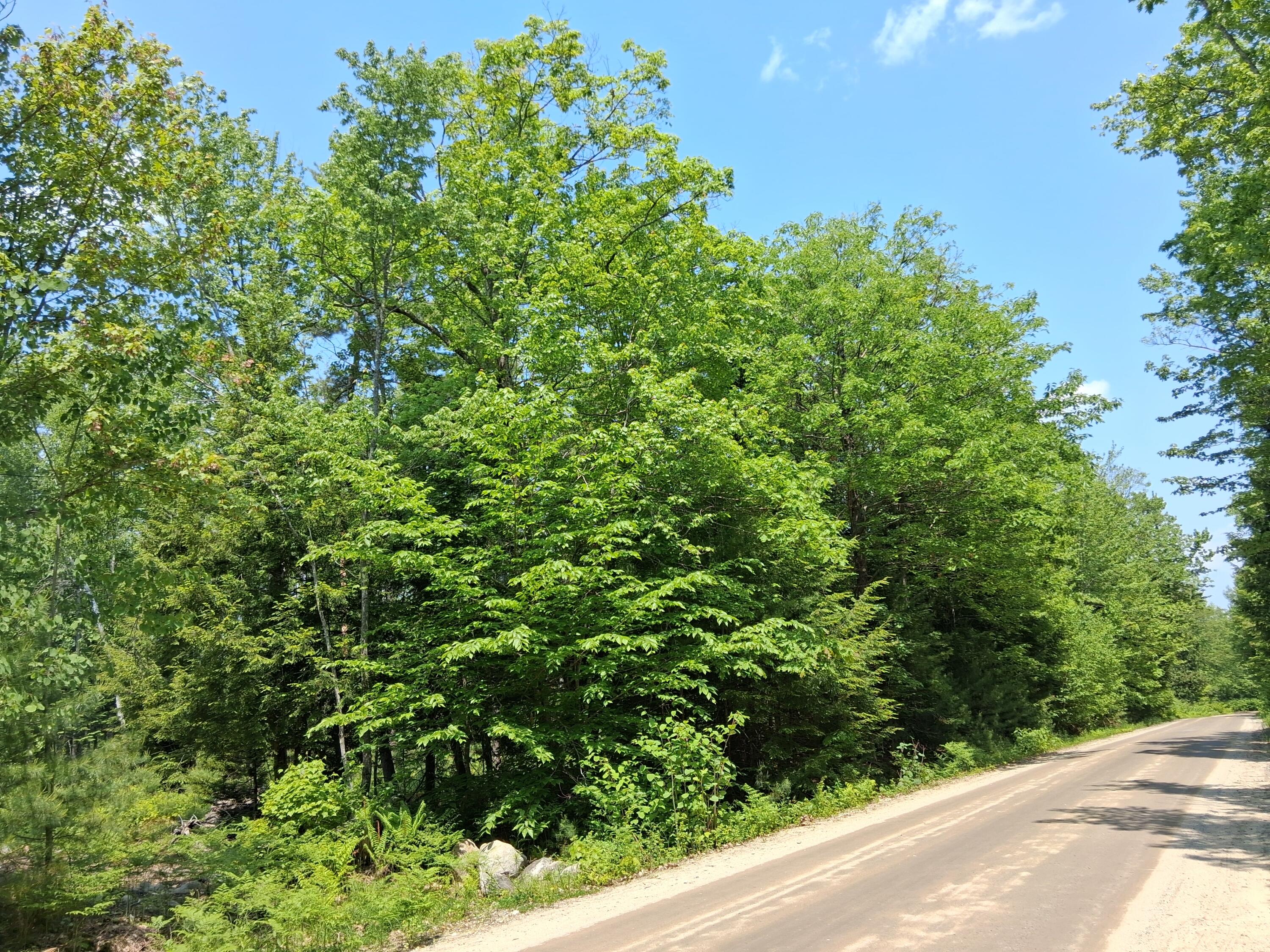 Lot 30 Corner N/s Mcallister Road Otisfield ME 04270