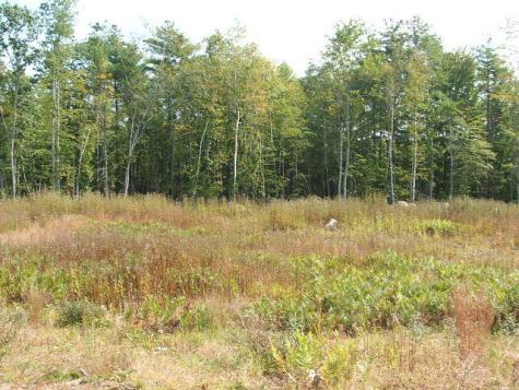 Lot 8 Pelletier Drive Hollis ME 04042