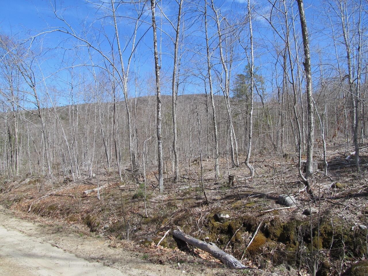 25-9 Klondike Hill Lane West Paris ME 04289