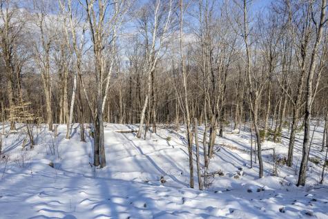 Lot 17 Garnet Way Newry ME 04261