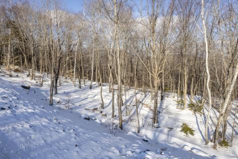 Lot 17 Garnet Way Newry ME 04261